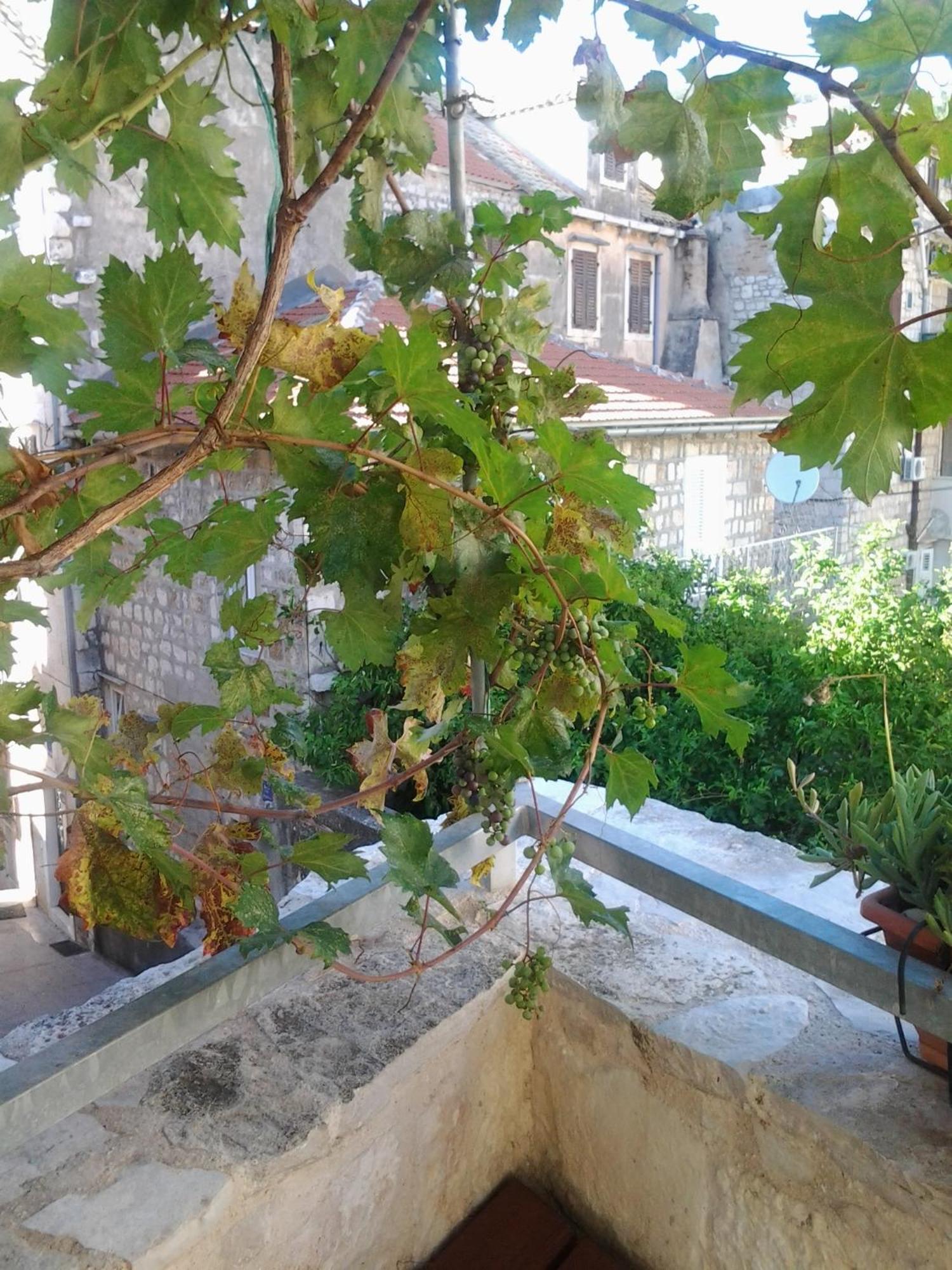 Apartments Donika Komiza Ruang foto
